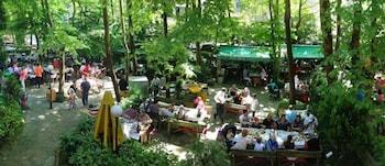 Yazicilar Otel & Restaurant