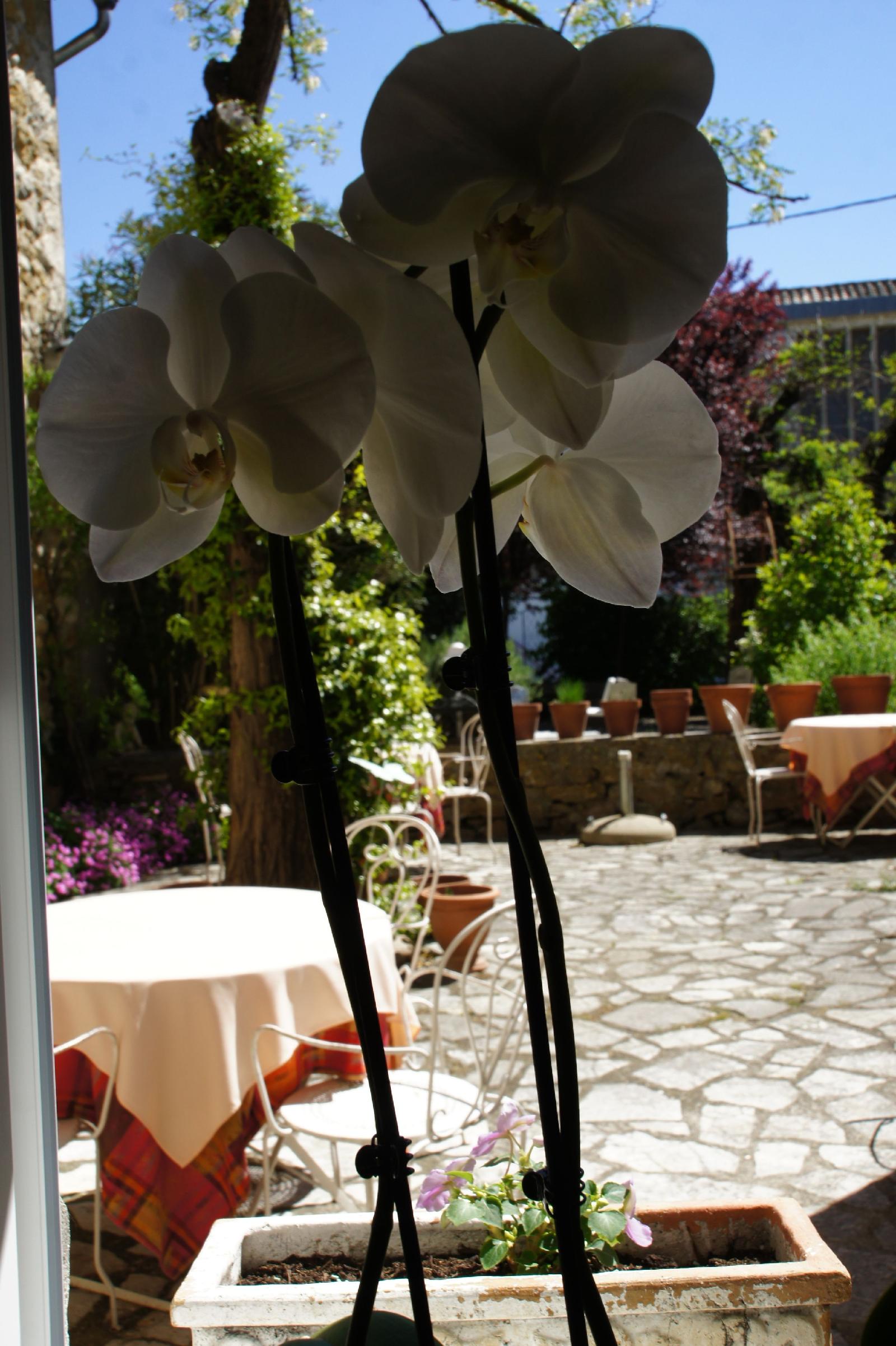 Le Manoir Du Raveyron
