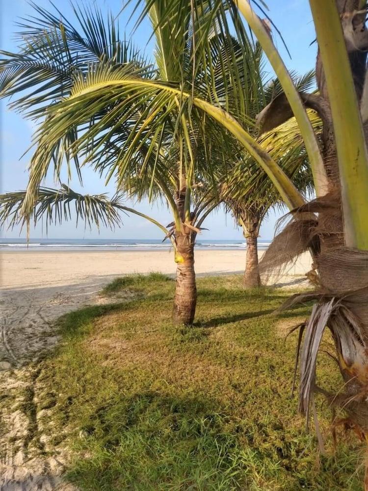 Oasis Pousada