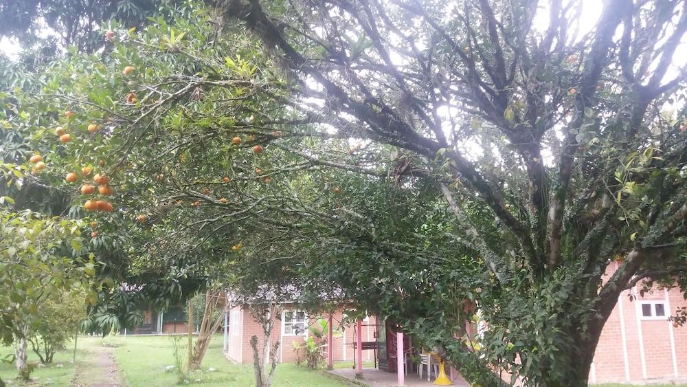 Hotel Campestre Camino Real Pereira