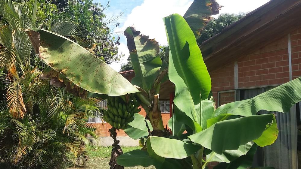 Hotel Campestre Camino Real Pereira