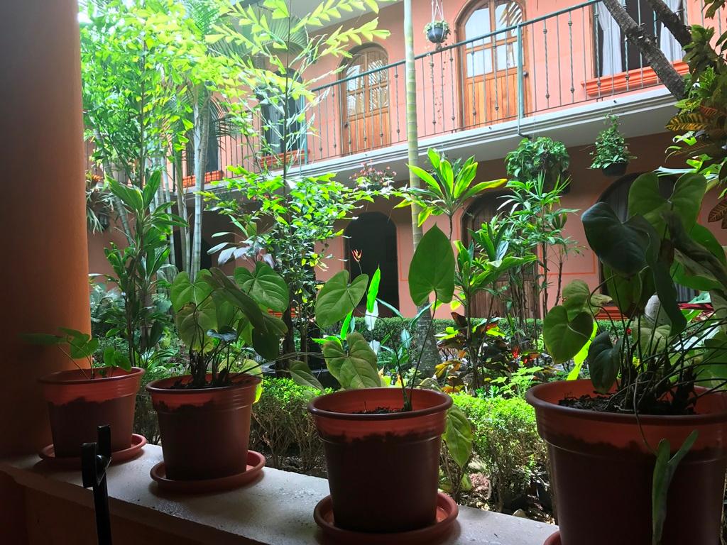 Hotel Posada San Jeronimo