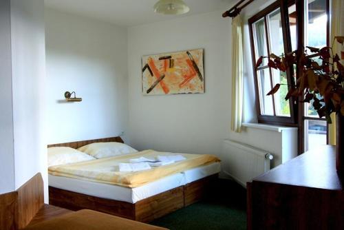 David Wellness Hotel