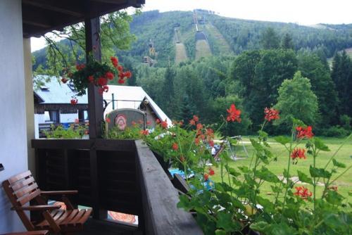 David Wellness Hotel