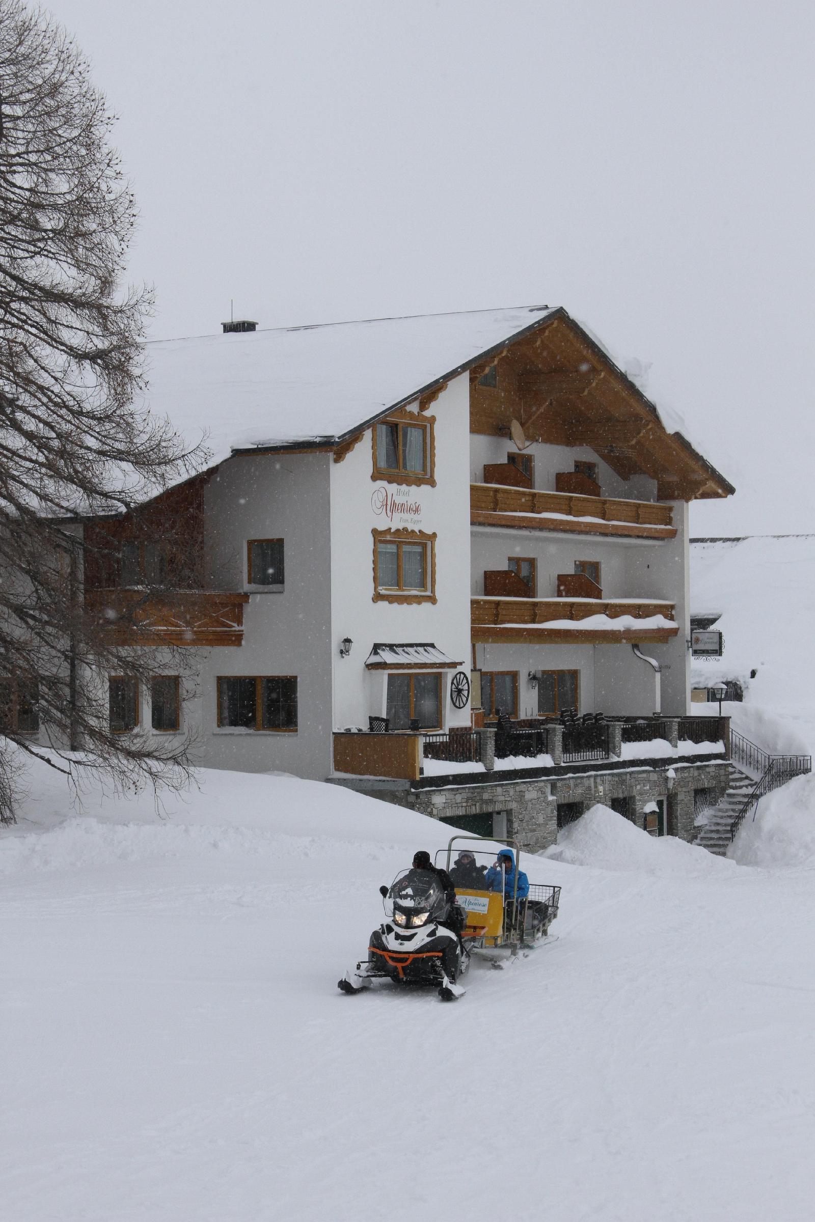 Alpenrose