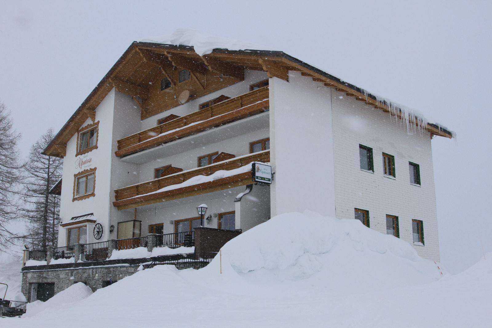 Alpenrose