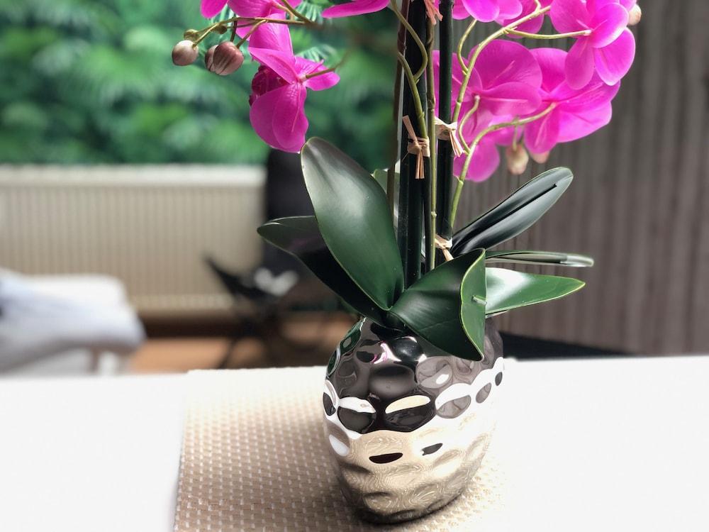 Boutique Hotels Mason