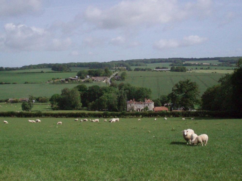 Marshwood Farm