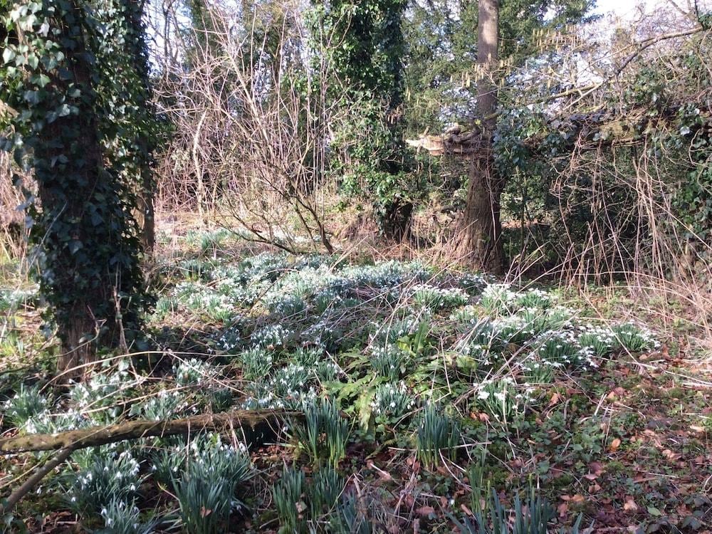 Marshwood Farm