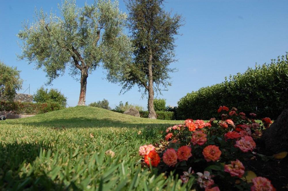Bed & Breakfast Terra E Stelle