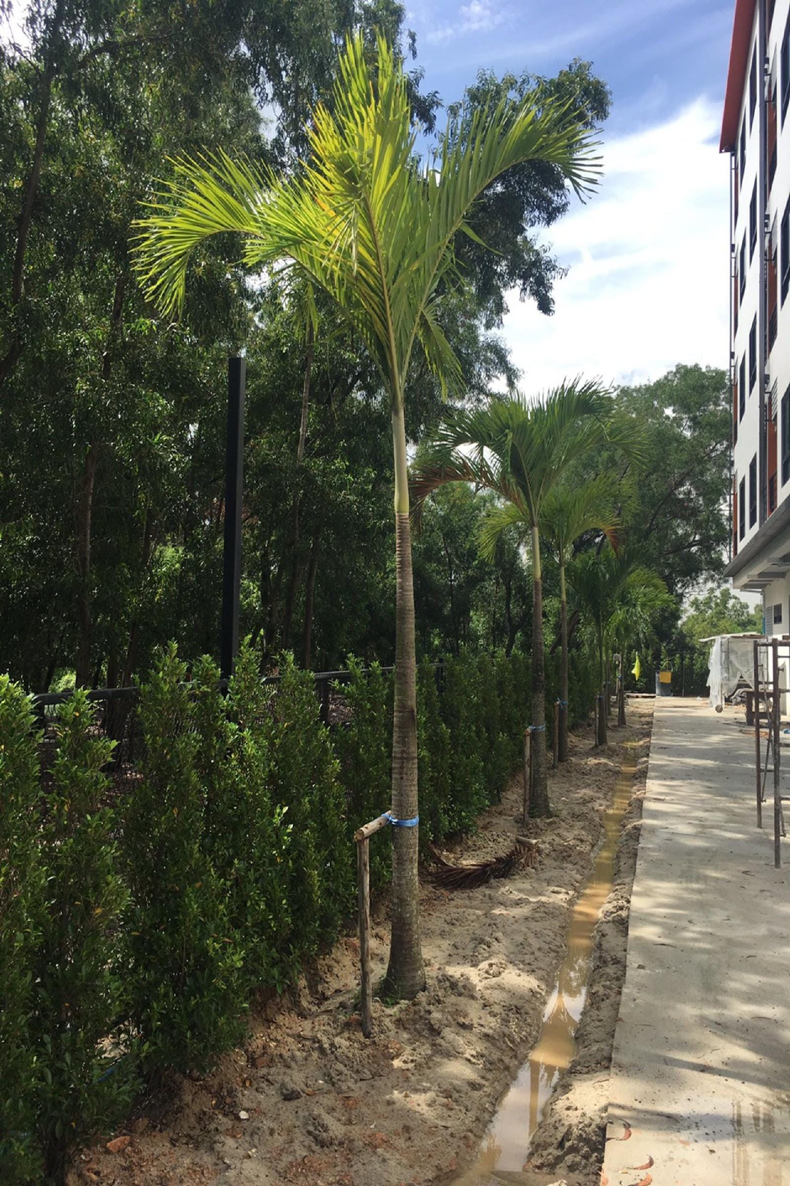 BANGKOK BOUTIQUE RESORT