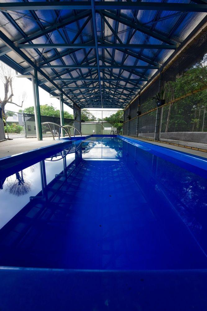 Daintree Peaks Eco Stays