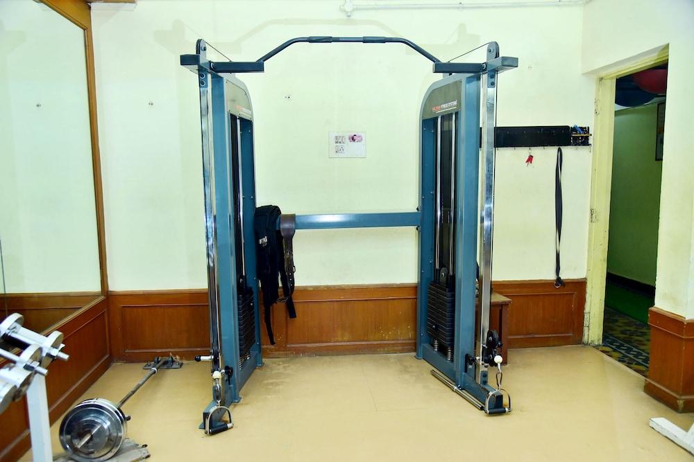 The Olive Star