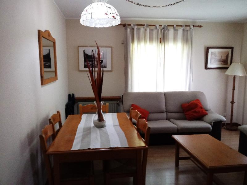 Apartamentos Sallent Gallego