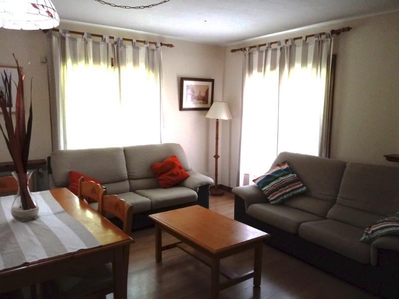 Apartamentos Sallent Gallego