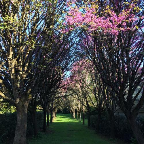 Le Belvedere-Perigueux