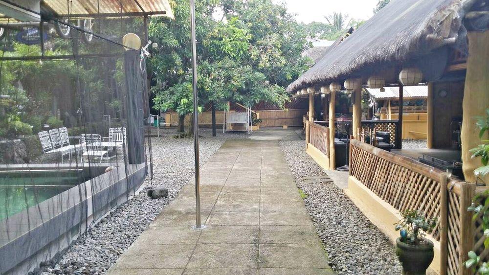 V House