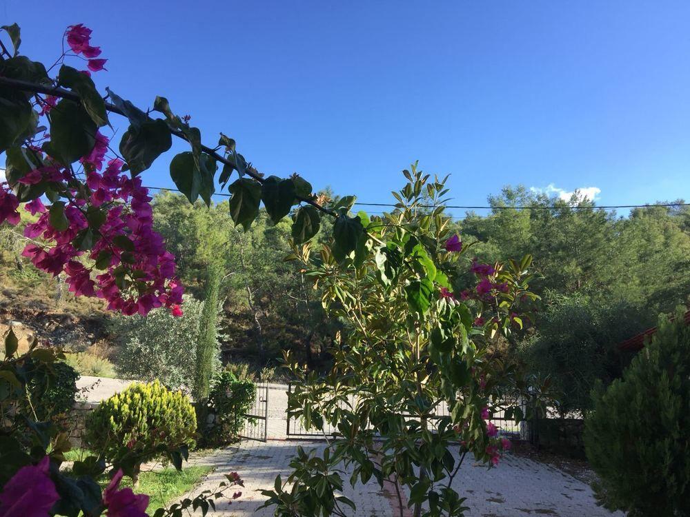 Yanar Villas