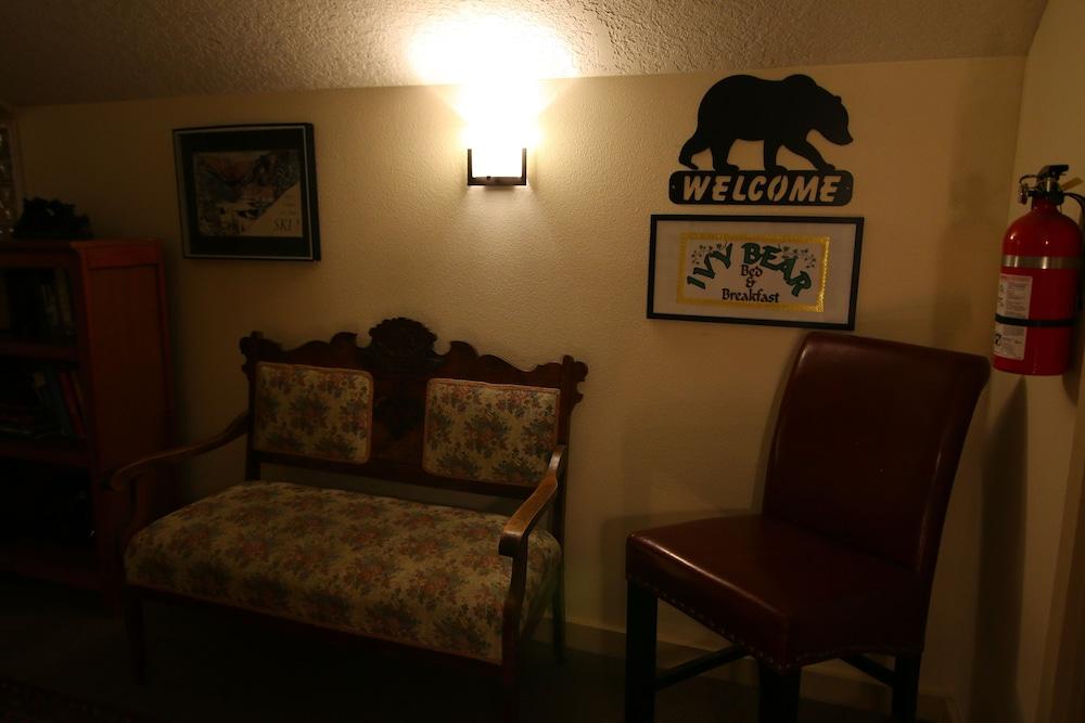 Ivy Bear B&P