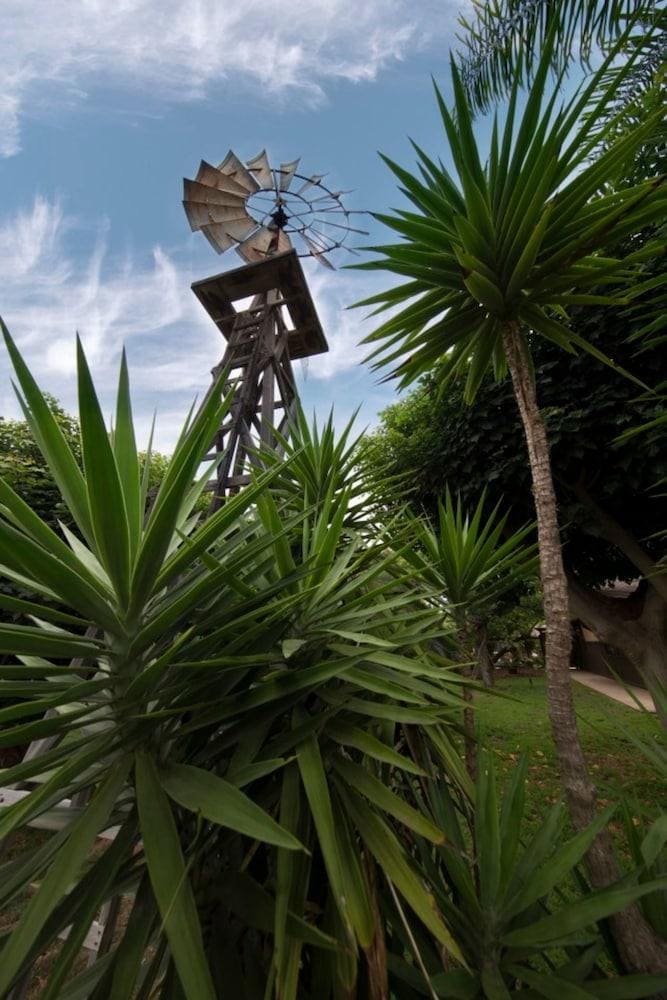 Coral Tree House