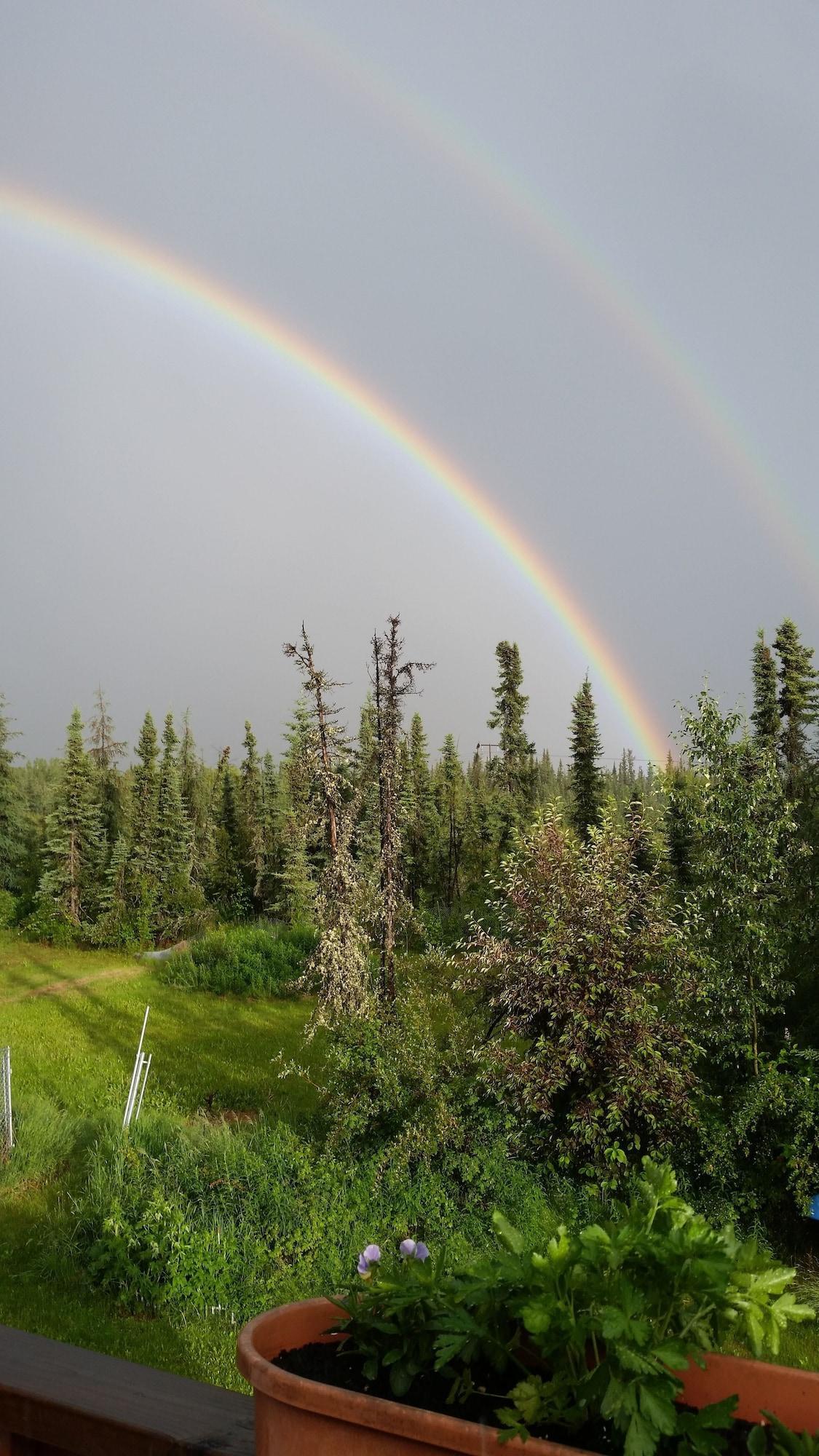 Moose Tracks B&B