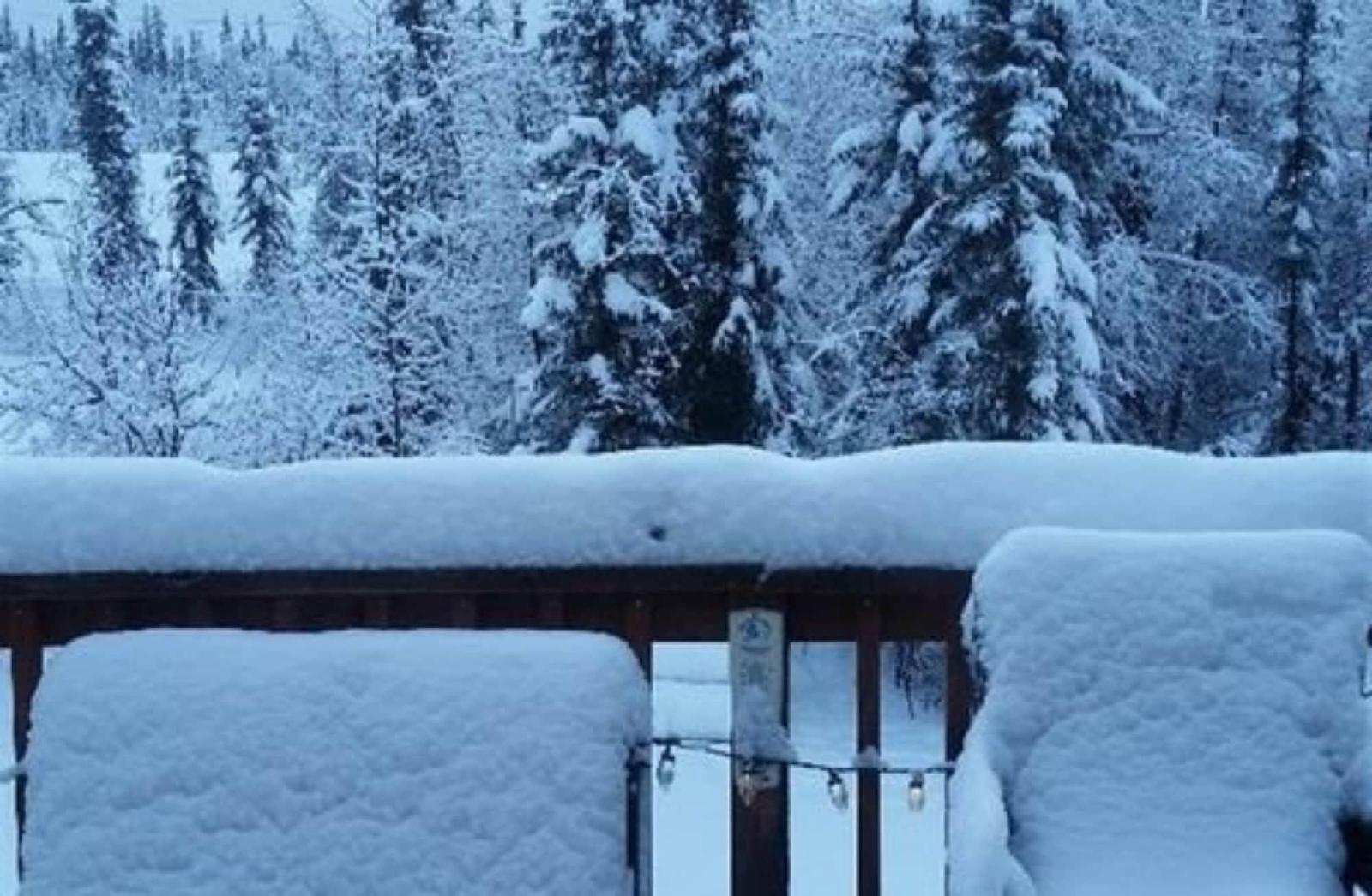 Moose Tracks B&B
