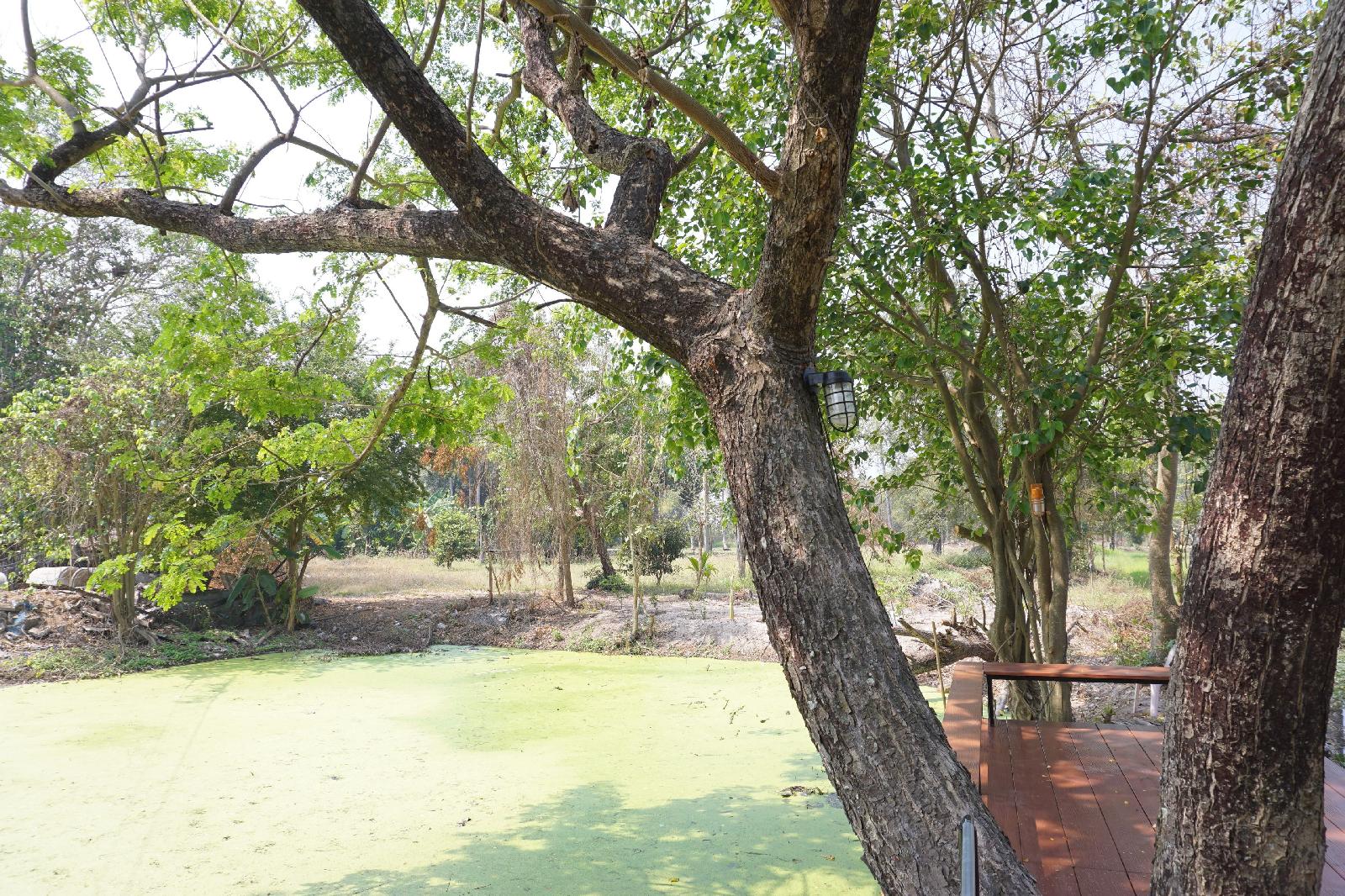 Numhom Resort