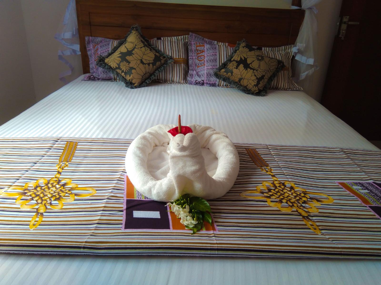 Galle Cemellia