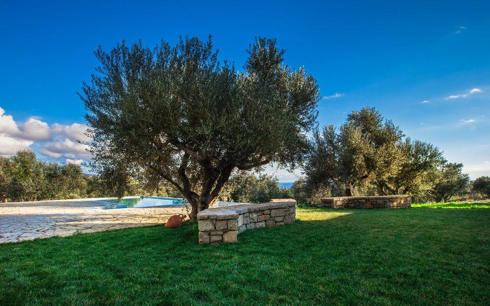 Abelia Luxurious Villas
