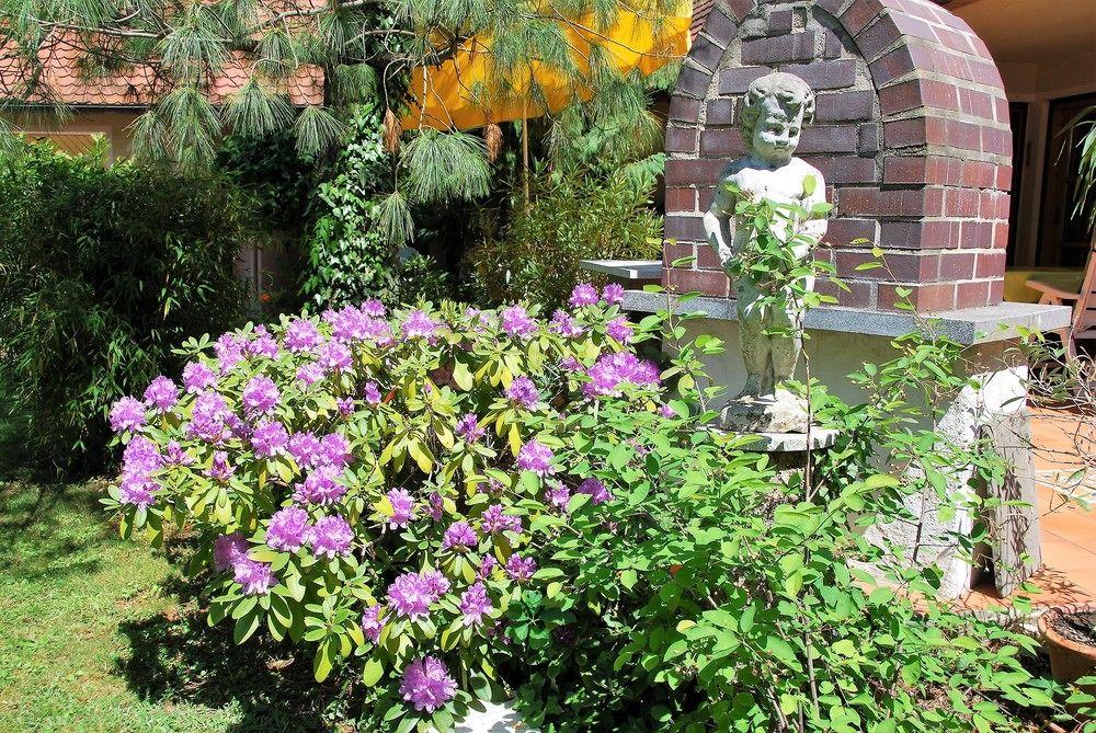 Ambiente Solutions Apartments & Ferienwohnungen