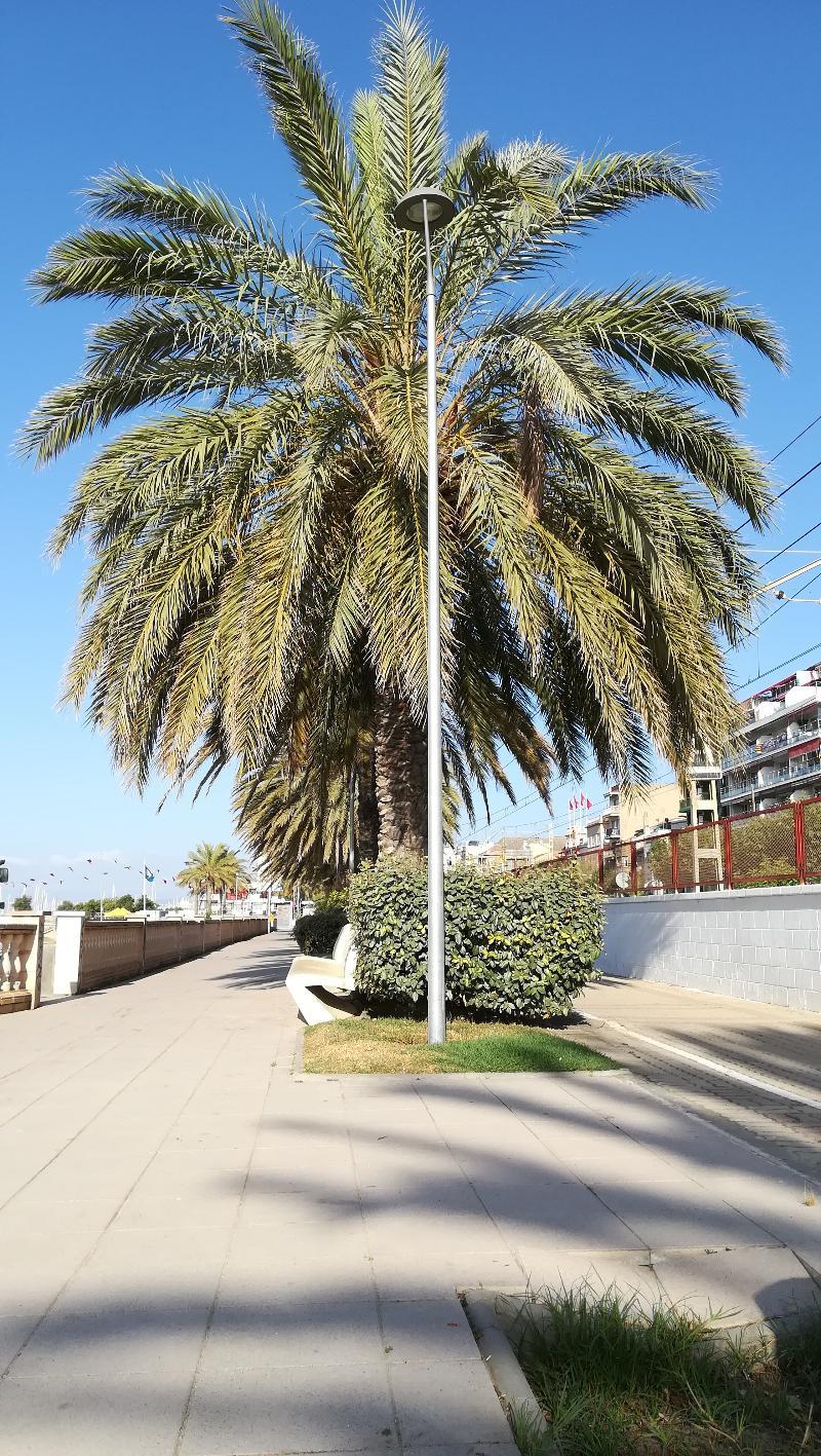 Terrassa De Mar Apartment