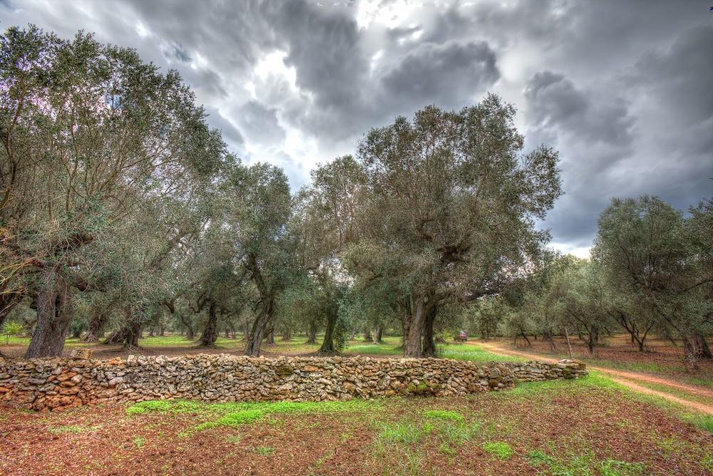 Masseria Piarmi