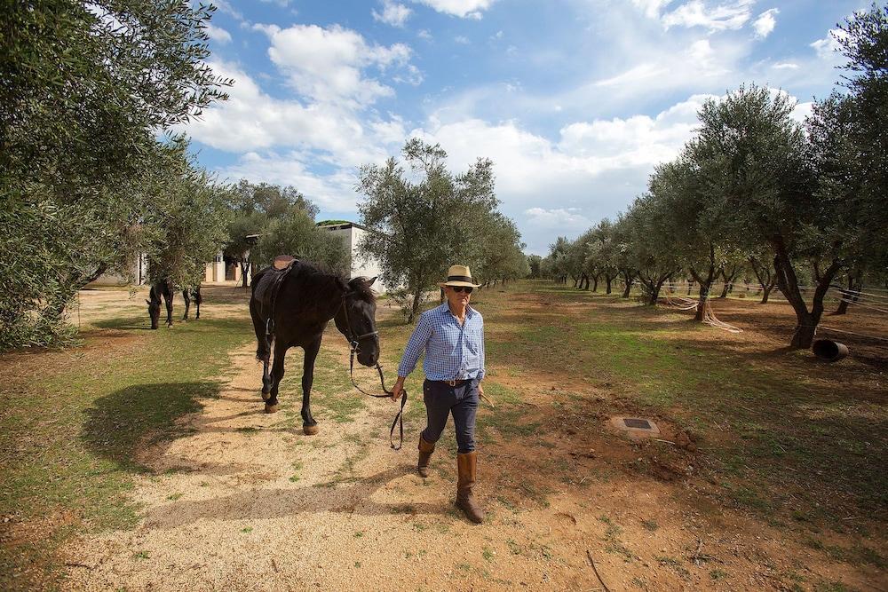 Masseria Piarmi