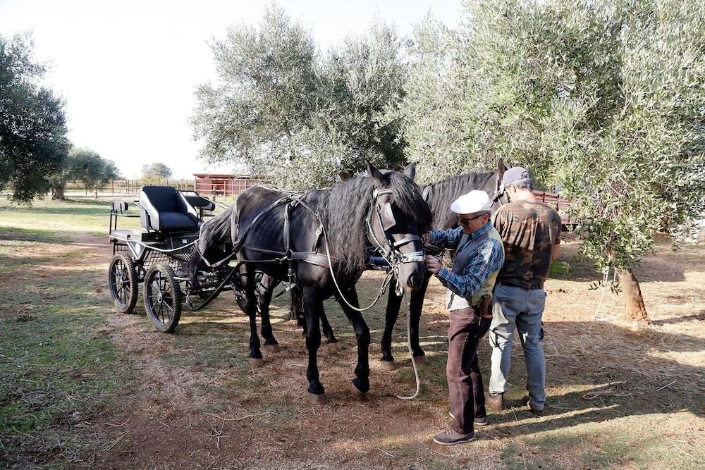 Masseria Piarmi