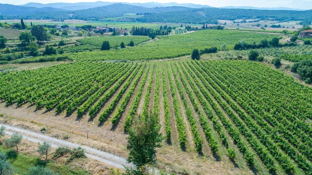 Tenuta La Pieve Casale Il Giglio