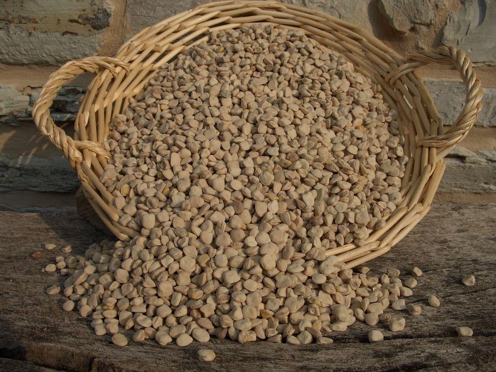 Agriturismo Bosimano