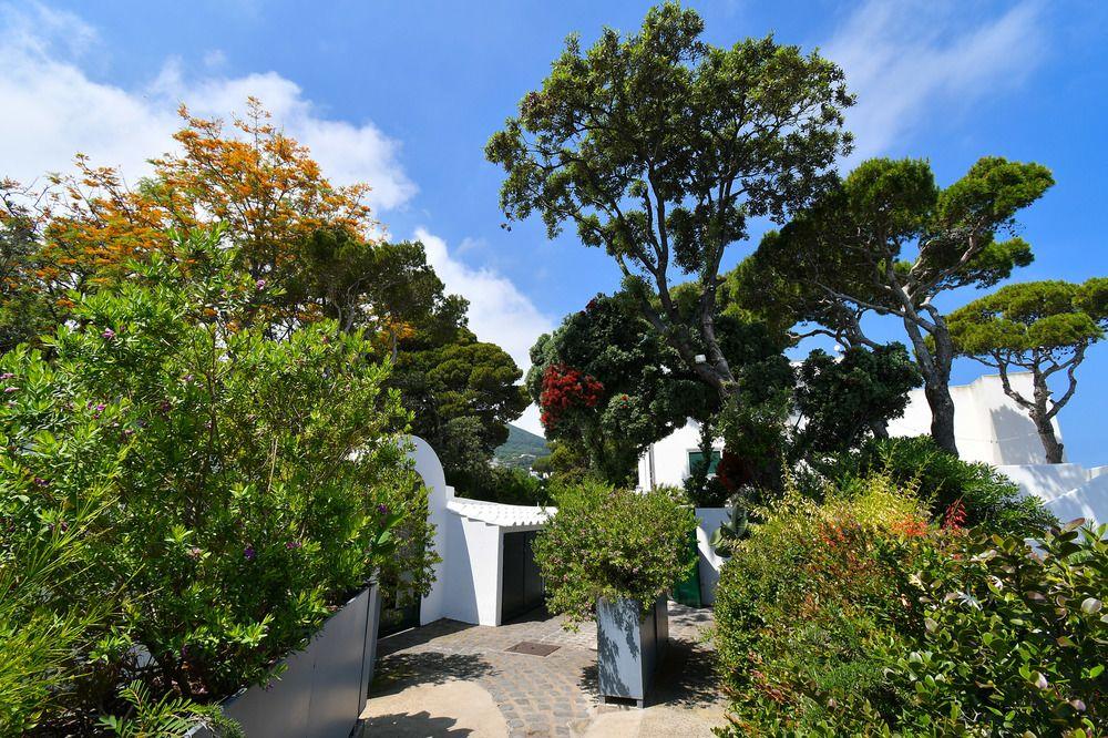 Villa Lentisco