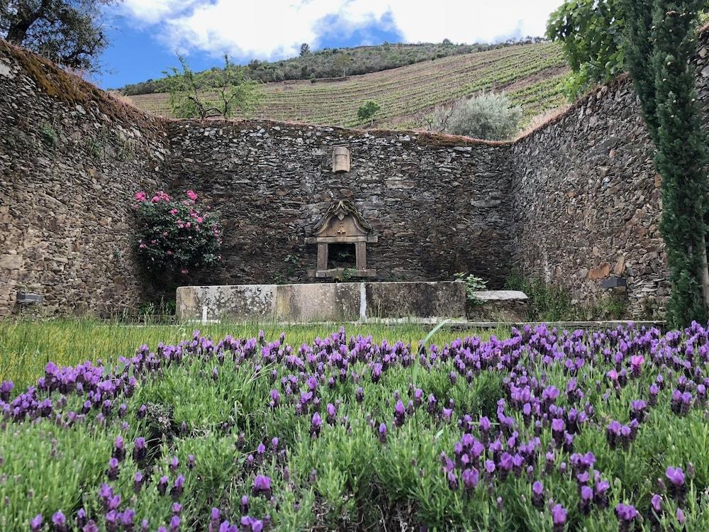 Quinta Da Gricha