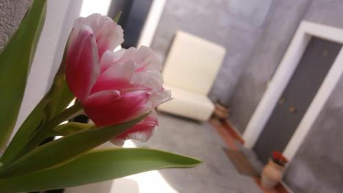 I Cappuccini B&B