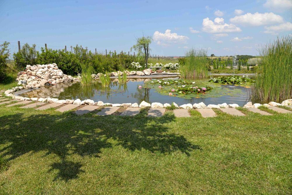 B&B La Collina Delle Fonti