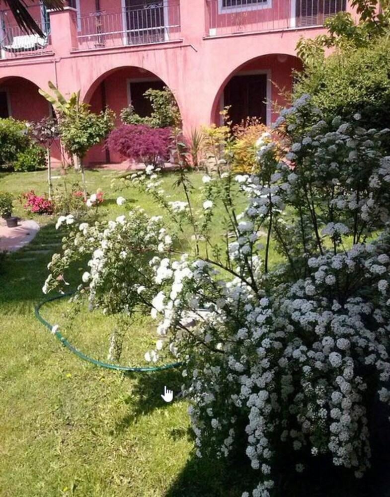 Le Ginestre