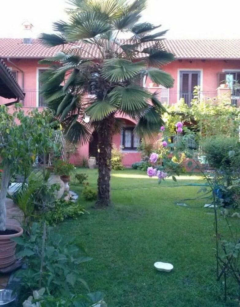 Le Ginestre