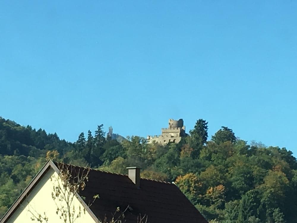 Les Chambres Au Pied Du Haut Koenigsbourg