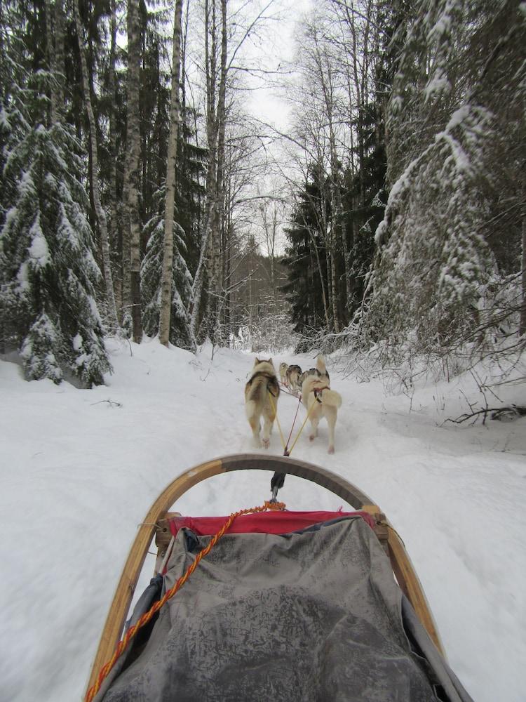 Knut's Camping Och Lagenheter