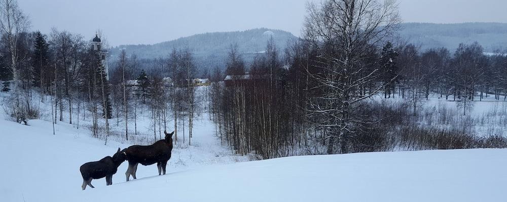 Knut's Camping Och Lagenheter