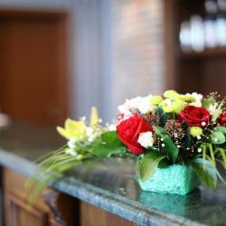 Thelocal Hotels Grozny