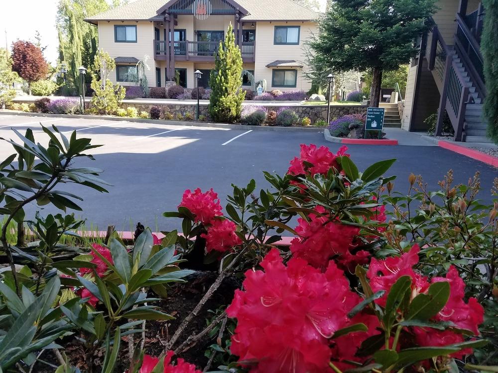 Redwood Hyperion Suites