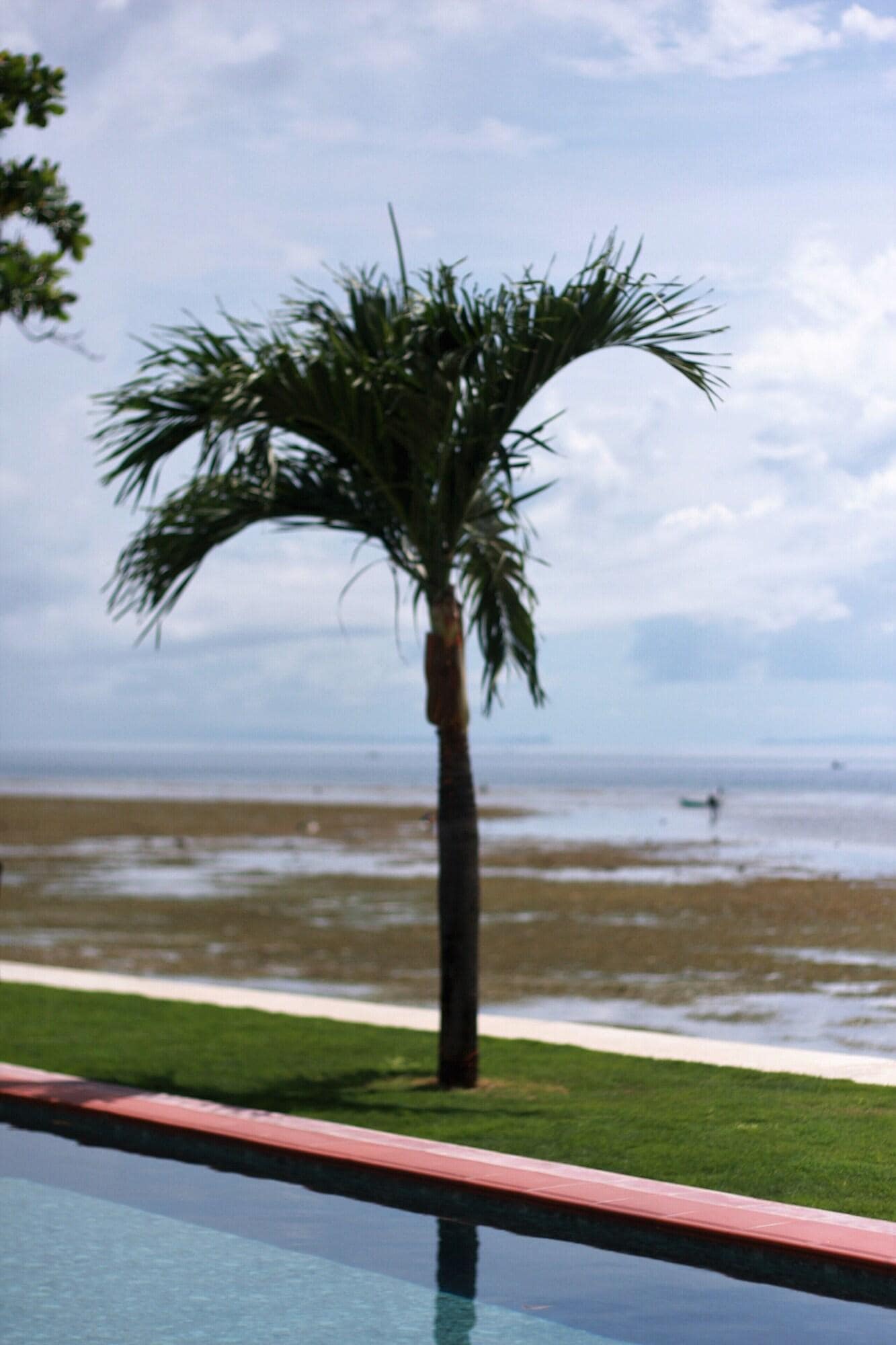 The Beachhouse
