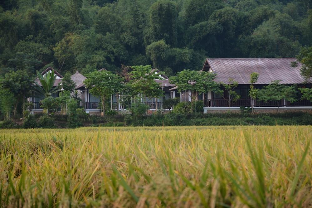 Sols Bungalows