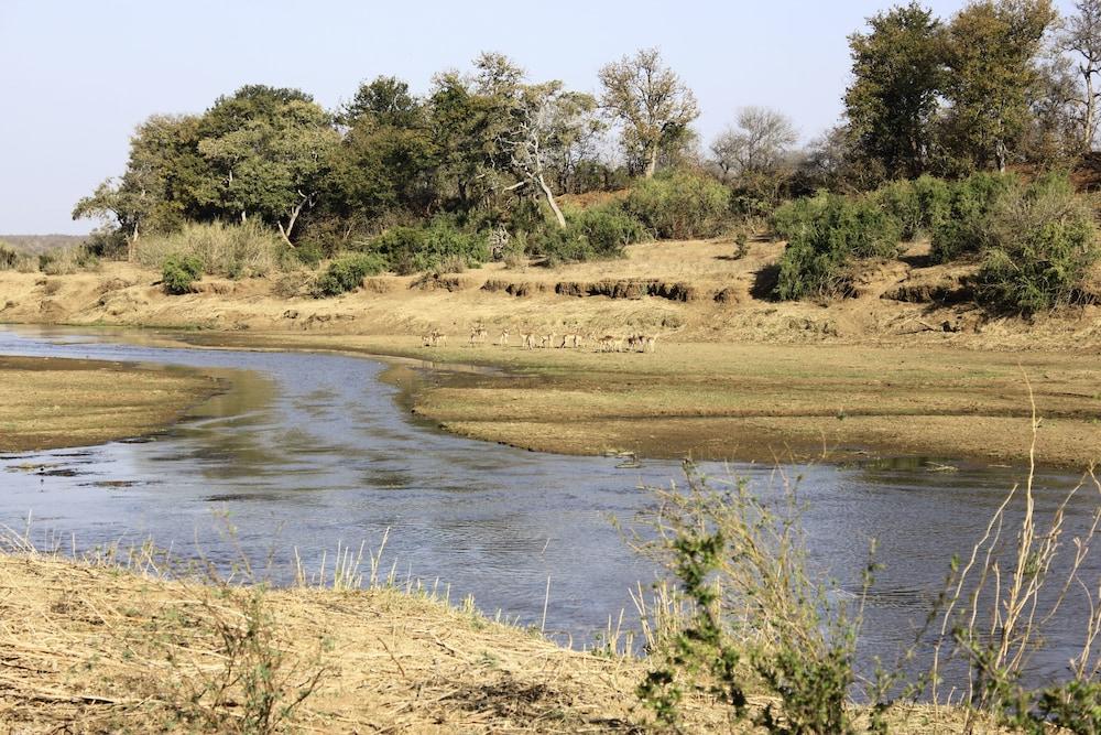 Mthimkhulu Private Game Reserve